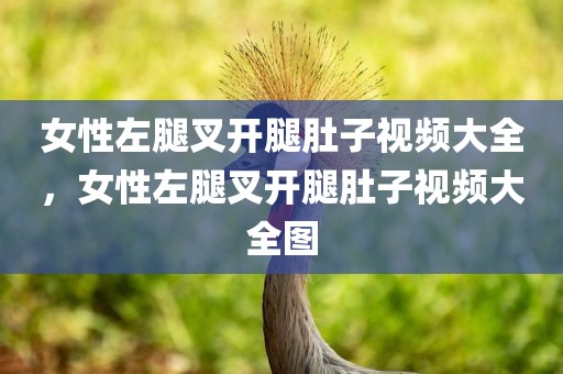 女性左腿叉开腿肚子视频大全，女性左腿叉开腿肚子视频大全图
