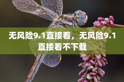 无风险9.1直接看，无风险9.1直接看不下载