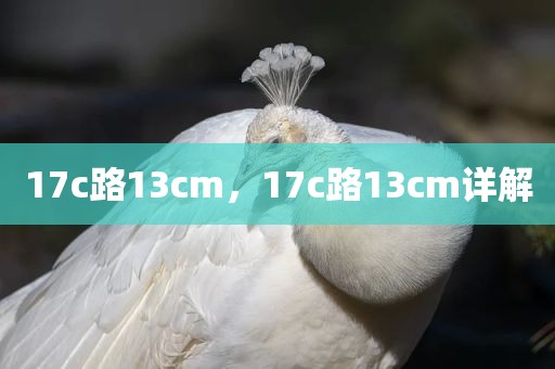 17c路13cm，17c路13cm详解