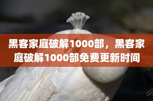 黑客家庭破解1000部，黑客家庭破解1000部免费更新时间