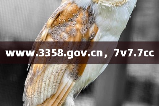 www.3358.gov.cn，7v7.7cc