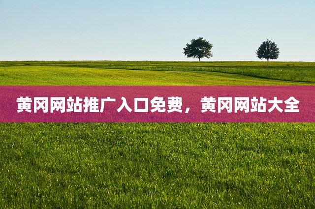 黄冈网站推广入口免费，黄冈网站大全
