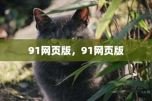 91网页版，91网页版