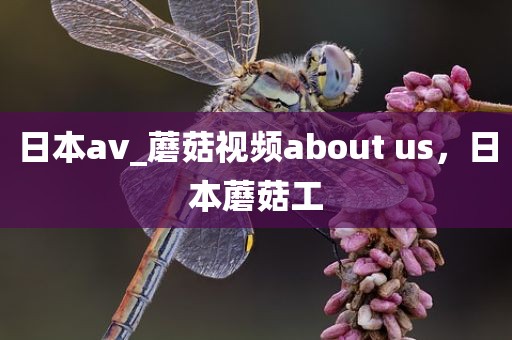 日本av_蘑菇视频about us，日本蘑菇工