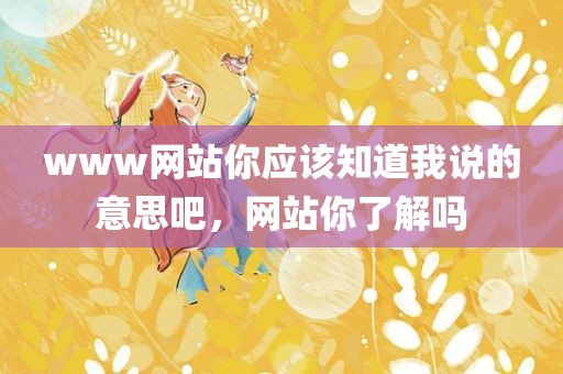 www网站你应该知道我说的意思吧，网站你了解吗