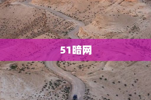 51暗网