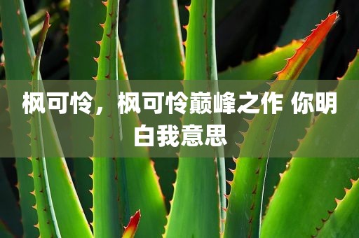 枫可怜，枫可怜巅峰之作 你明白我意思
