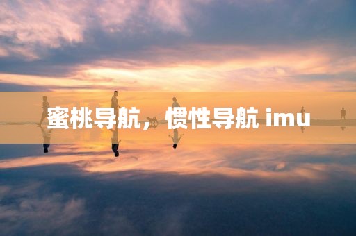 蜜桃导航，惯性导航 imu