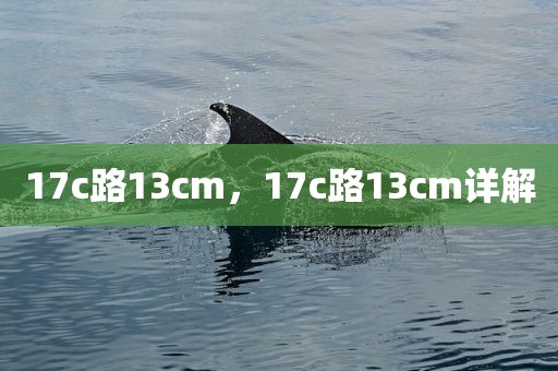17c路13cm，17c路13cm详解