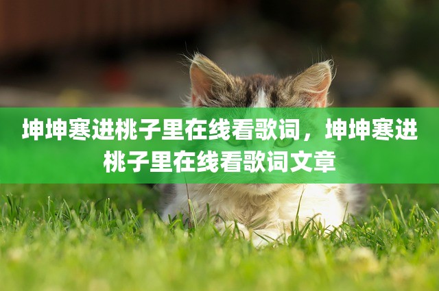坤坤寒进桃子里在线看歌词，坤坤寒进桃子里在线看歌词文章