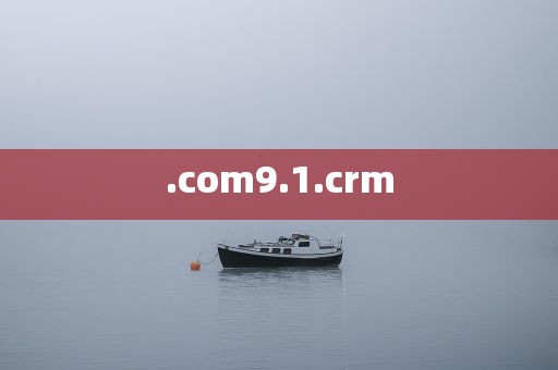 .com9.1.crm