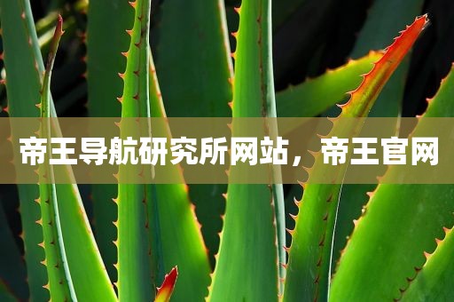 帝王导航研究所网站，帝王官网