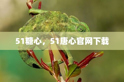 51糖心，51唐心官网下载