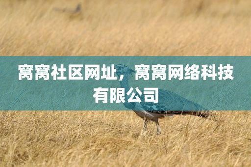 窝窝社区网址，窝窝网络科技有限公司