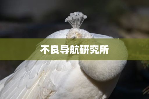 不良导航研究所