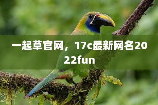 一起草官网，17c最新网名2022fun