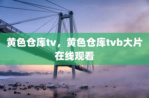 黄色仓库tv，黄色仓库tvb大片在线观看