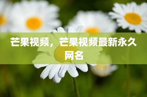 芒果视频，芒果视频最新永久网名