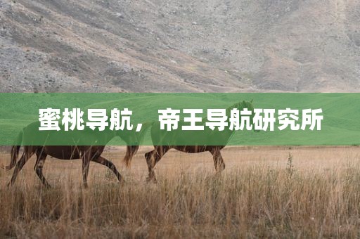 蜜桃导航，帝王导航研究所