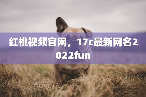 红桃视频官网，17c最新网名2022fun