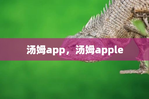 汤姆app，汤姆apple
