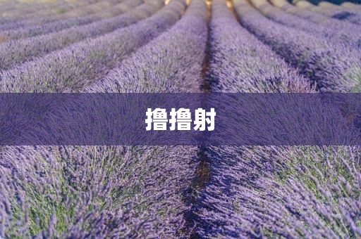 撸撸射