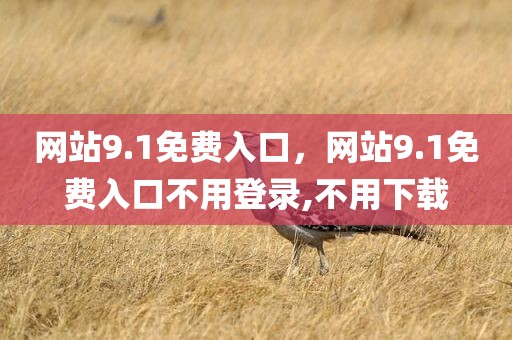 网站9.1免费入口，网站9.1免费入口不用登录,不用下载