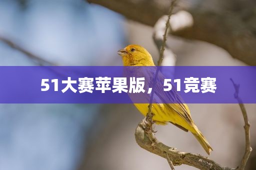 51大赛苹果版，51竞赛