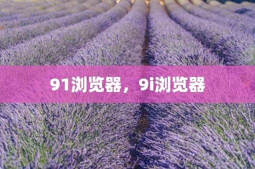 91浏览器，9i浏览器
