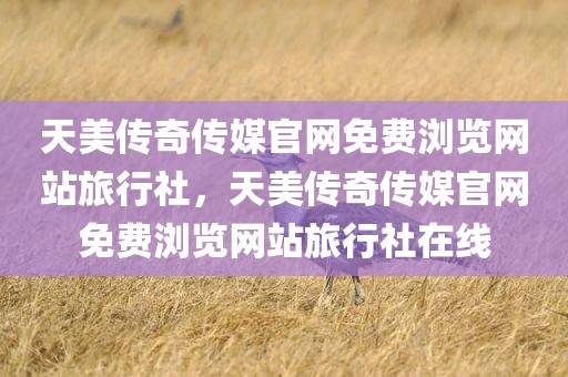 天美传奇传媒官网免费浏览网站旅行社，天美传奇传媒官网免费浏览网站旅行社在线