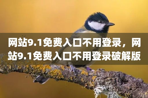 网站9.1免费入口不用登录，网站9.1免费入口不用登录破解版