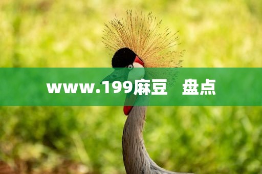 www.199麻豆   盘点