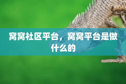 窝窝社区平台，窝窝平台是做什么的