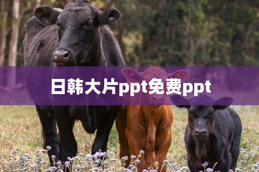 日韩大片ppt免费ppt
