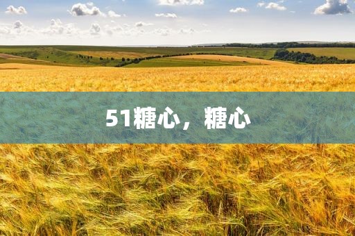 51糖心，糖心