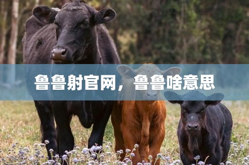 鲁鲁射官网，鲁鲁啥意思