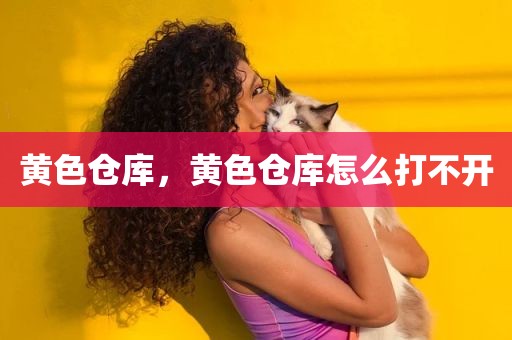 黄色仓库，黄色仓库怎么打不开