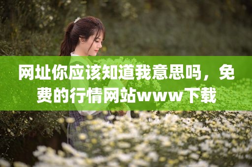 网址你应该知道我意思吗，免费的行情网站www下载