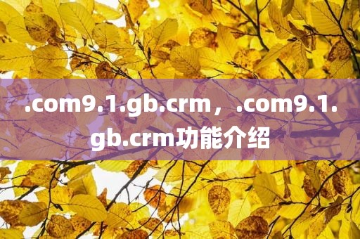 .com9.1.gb.crm，.com9.1.gb.crm功能介绍