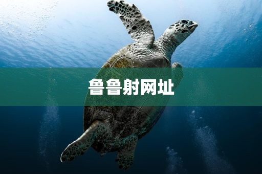 鲁鲁射网址