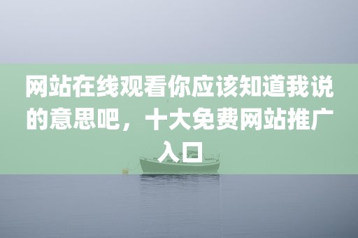 网站在线观看你应该知道我说的意思吧，十大免费网站推广入口