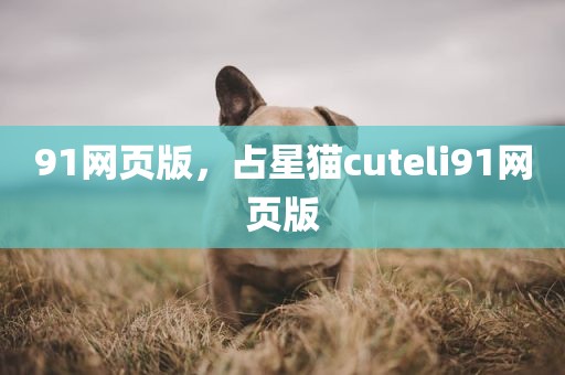 91网页版，占星猫cuteli91网页版