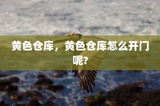 黄色仓库，黄色仓库怎么开门呢?
