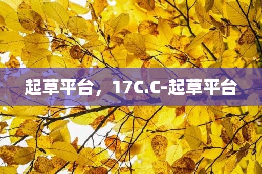 起草平台，17C.C-起草平台