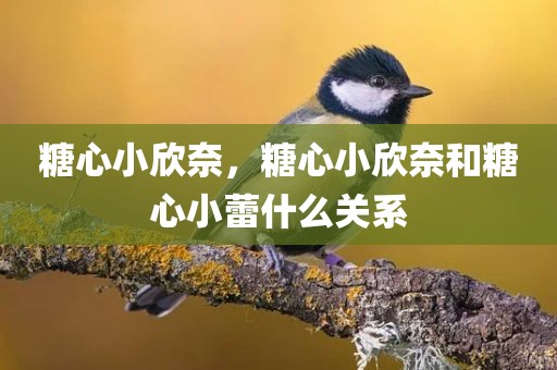 糖心小欣奈，糖心小欣奈和糖心小蕾什么关系