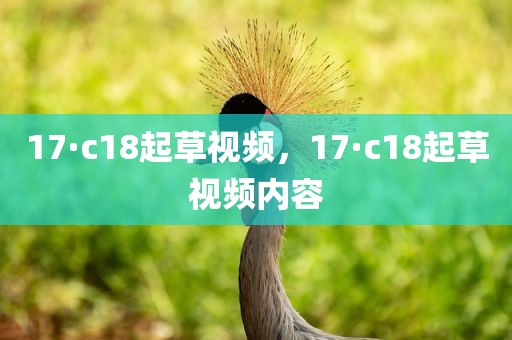 17·c18起草视频，17·c18起草视频内容