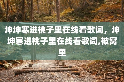 坤坤寒进桃子里在线看歌词，坤坤寒进桃子里在线看歌词,被窝里