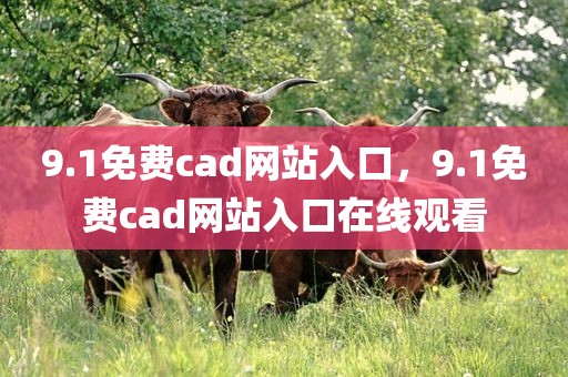 9.1免费cad网站入口，9.1免费cad网站入口在线观看