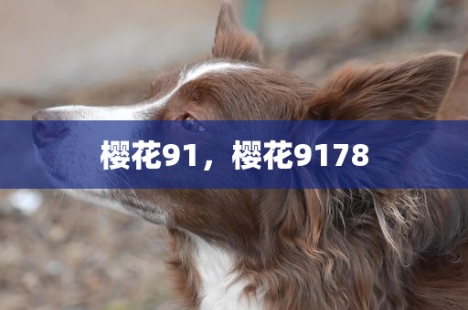 樱花91，樱花9178