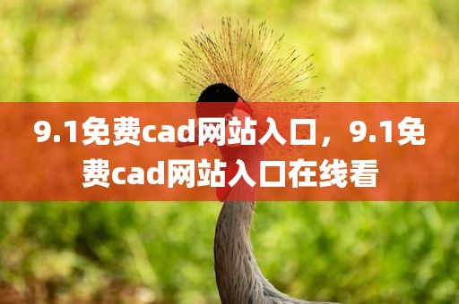 9.1免费cad网站入口，9.1免费cad网站入口在线看